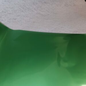 WeR Foil Quill Spearmint