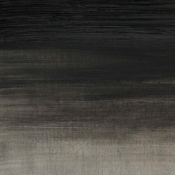 331 Ivory Black