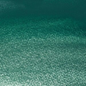 W&N 185 Cobalt Green Deep (3) Vesivärituubi 14 ml